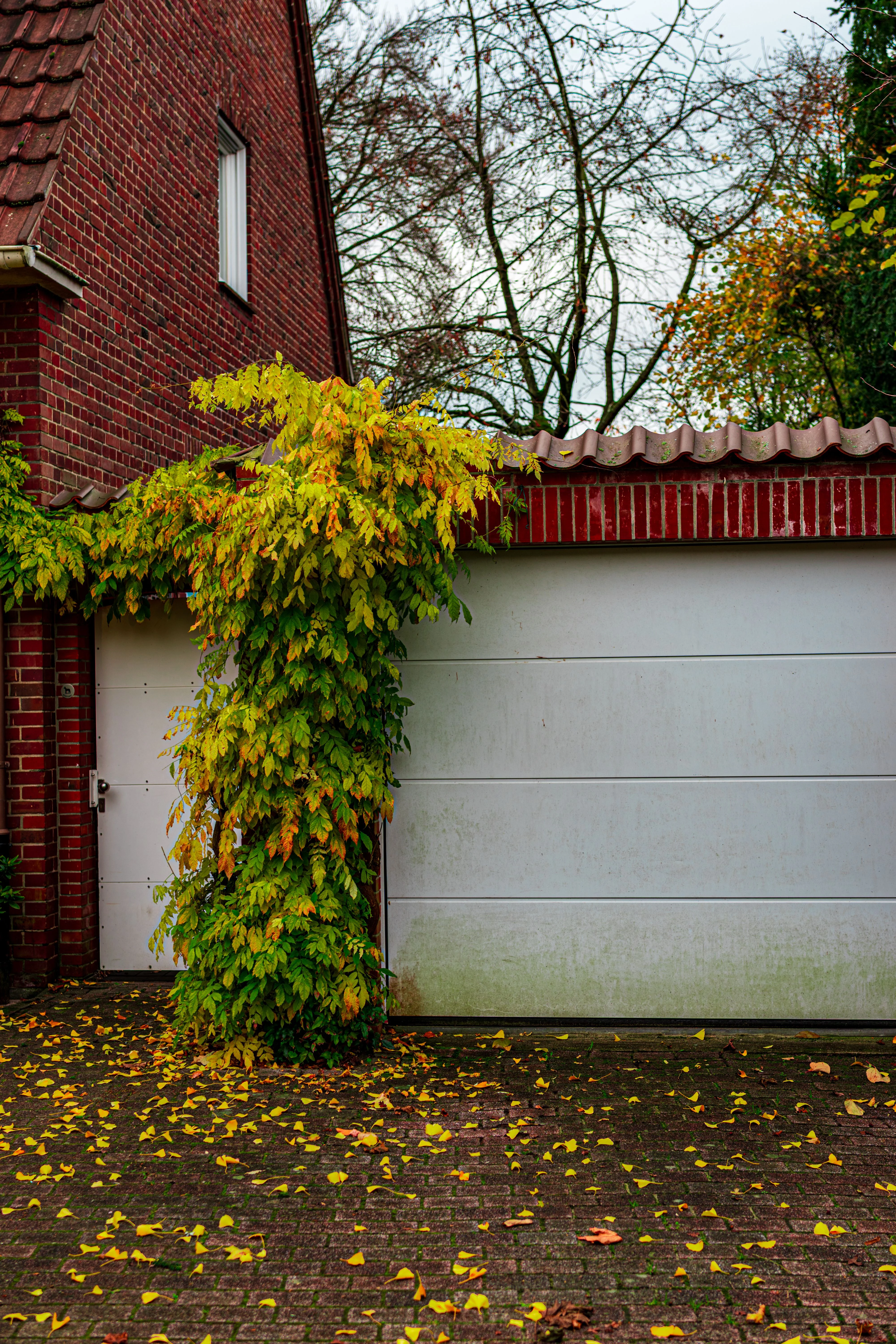 Residential garage door in Boone